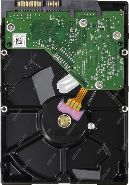 Файл не найден